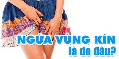 ngua-vung-kin-nguyen-nhan-do-dau